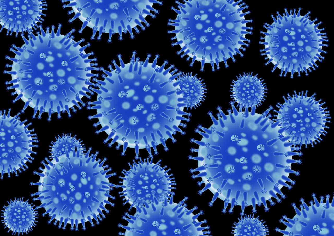 flu-virus-structure_zy6wU_Iu flu-virus-structure_zy6wU_Iu