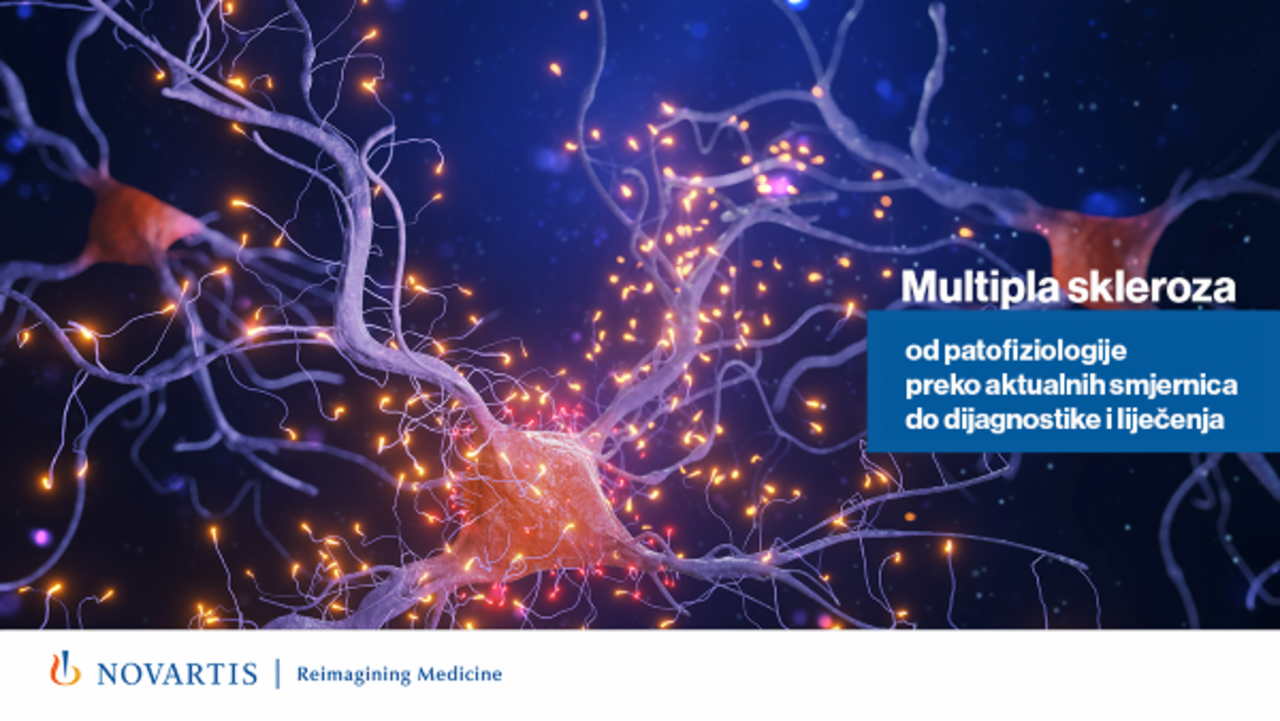 Multipla skleroza: od patofiziologije preko aktualnih smjernica do dijagnostike i liječenja
